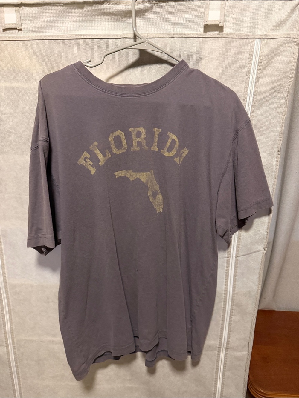 Life Is Good Men's Gray-Brown Florida Graphic Tee